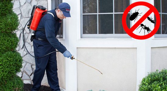 Güçlükonak Karınca İlaçlama böcek ilaçlama ve haşere kontrolü — ilaclama-tr.com